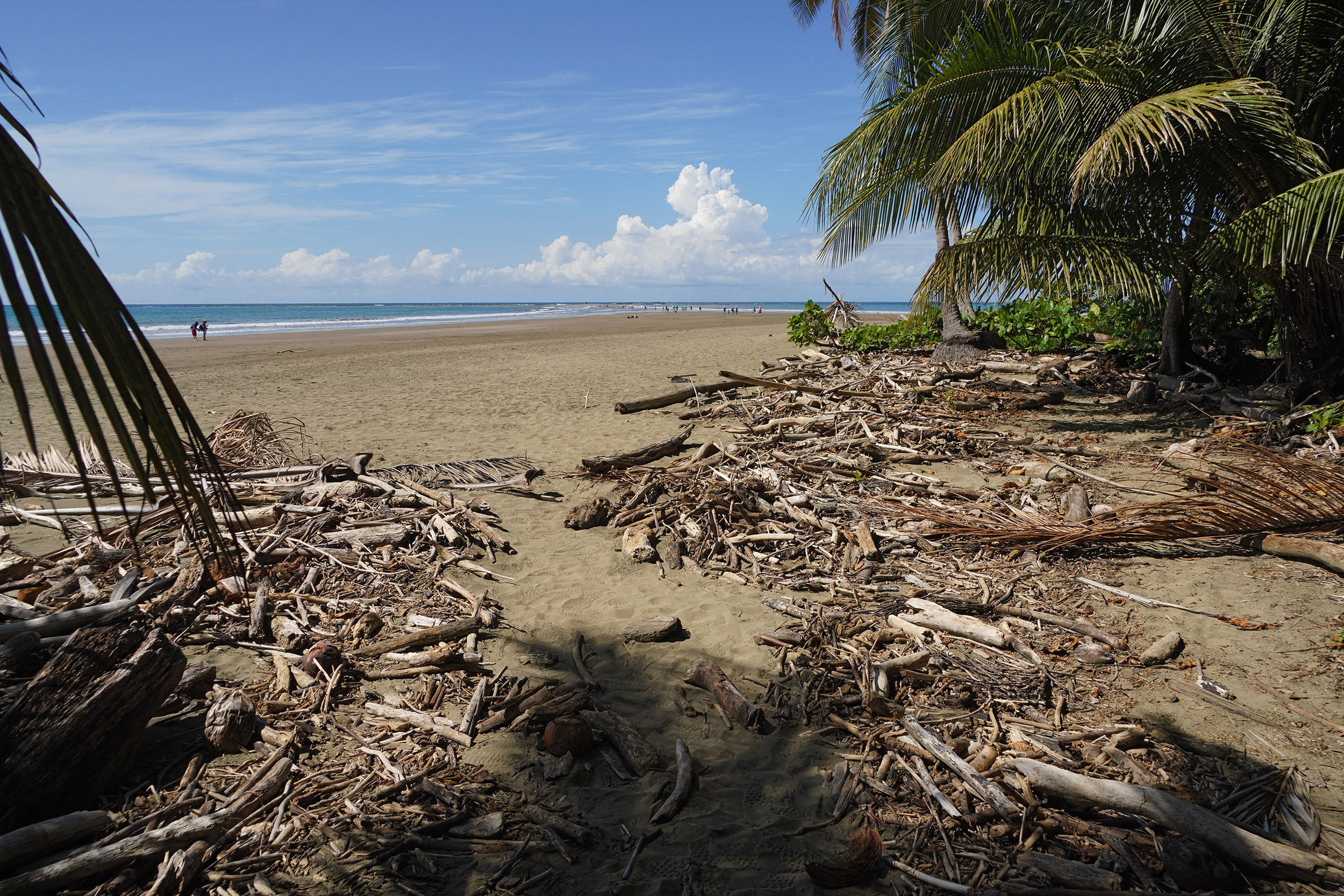 Costa Rica - Février 2025